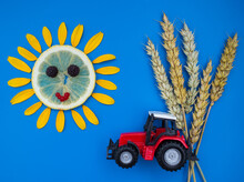 Red Toy Tractor On A Blue Background. Five Ears Of Wheat. A Sun Of Citrus And Flower Petals. Harvesting. Agronomy. Creative Farming. Wheat Harvest. World Agriculture Day