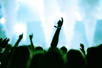 Wall Mural - Rear view of crowd with arms outstretched at concert