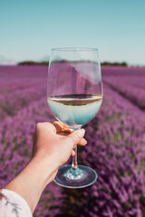 Female hand with white wine glass on a Lavender fields background in Provence, France. Countryside summer landscape, Europe. Lines of purple flowers.