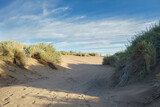 Fototapeta  - dune on the beach with native vegetation and footprints of people