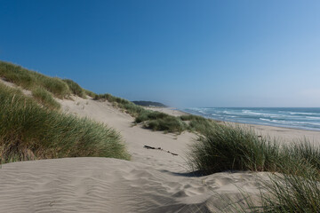 Wall Mural - South Beach on the beautiful Oregon Coast, Newport Oregon 