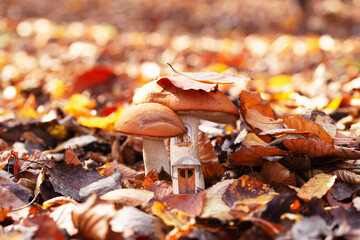 Autumn collage with two mushrooms among forest leaves