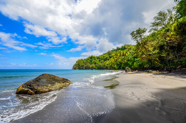 Wall Mural - Caribbean Martinique wild beach