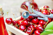 Cherry pitter over a wood box with Cherries surrounded by glass bottles with liqueur