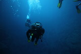 Fototapeta Do akwarium - scuba diver and divers