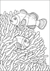 Wall Mural - Tropical clownfish with coral reef anemone. Colorful sea fish vector template. Coloring book for children and adults.