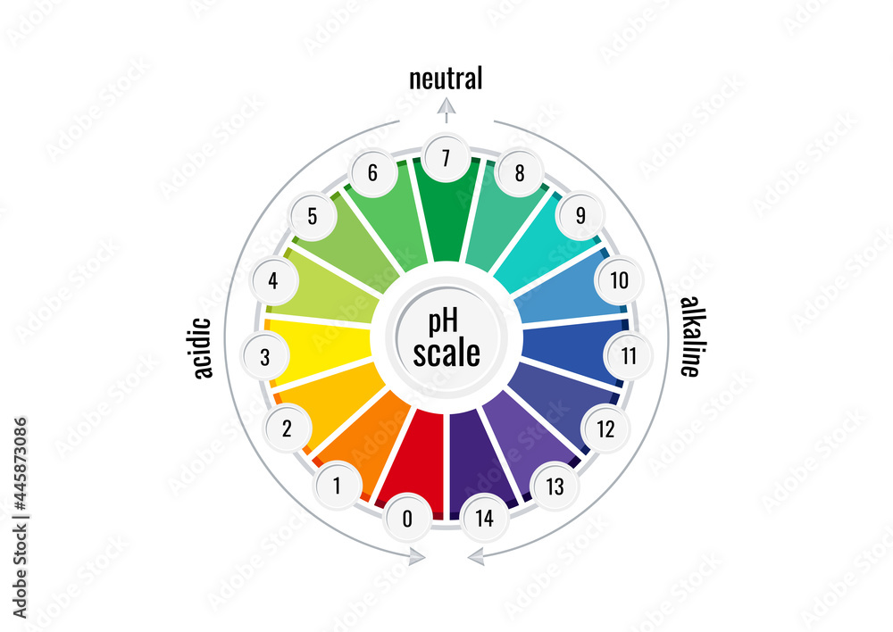 pH value scale chart meter for acid and alkaline solutions isolated on ...