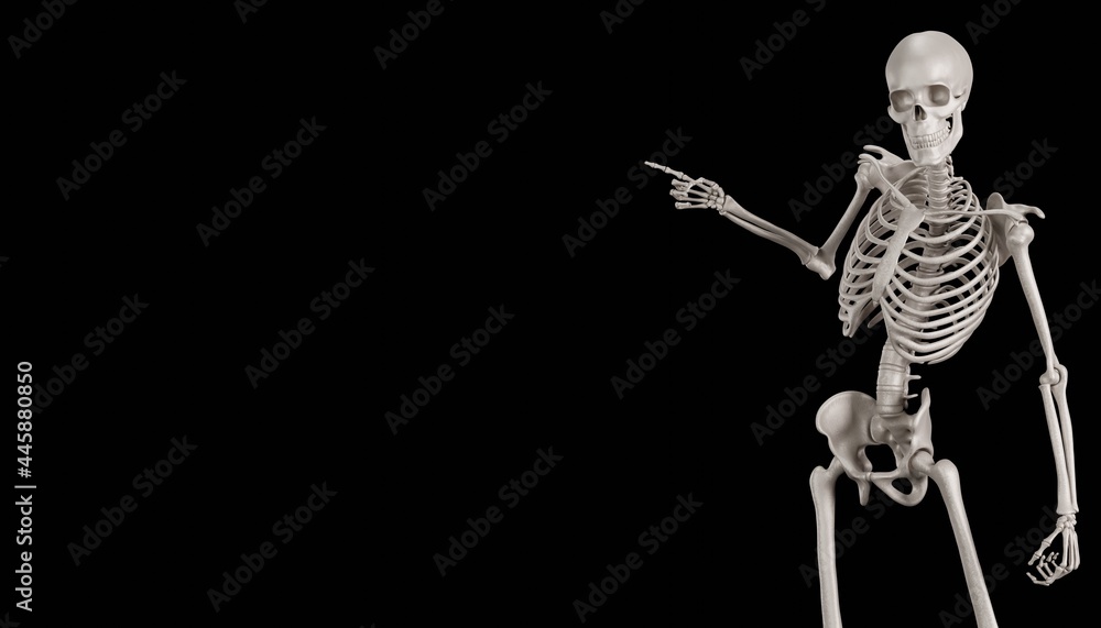 skeleton posing 3d render 