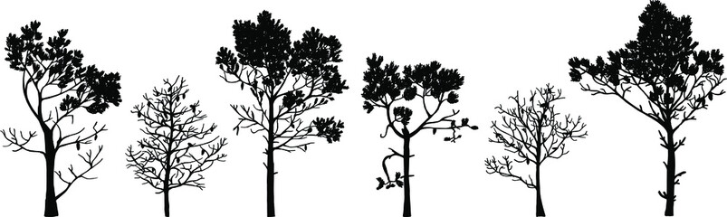 Wall Mural - Set of tree silhouettes of different types and shapes isolated on white background. Illustration.