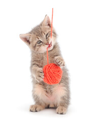 Wall Mural - Little kitten playing with a ball of yarn.