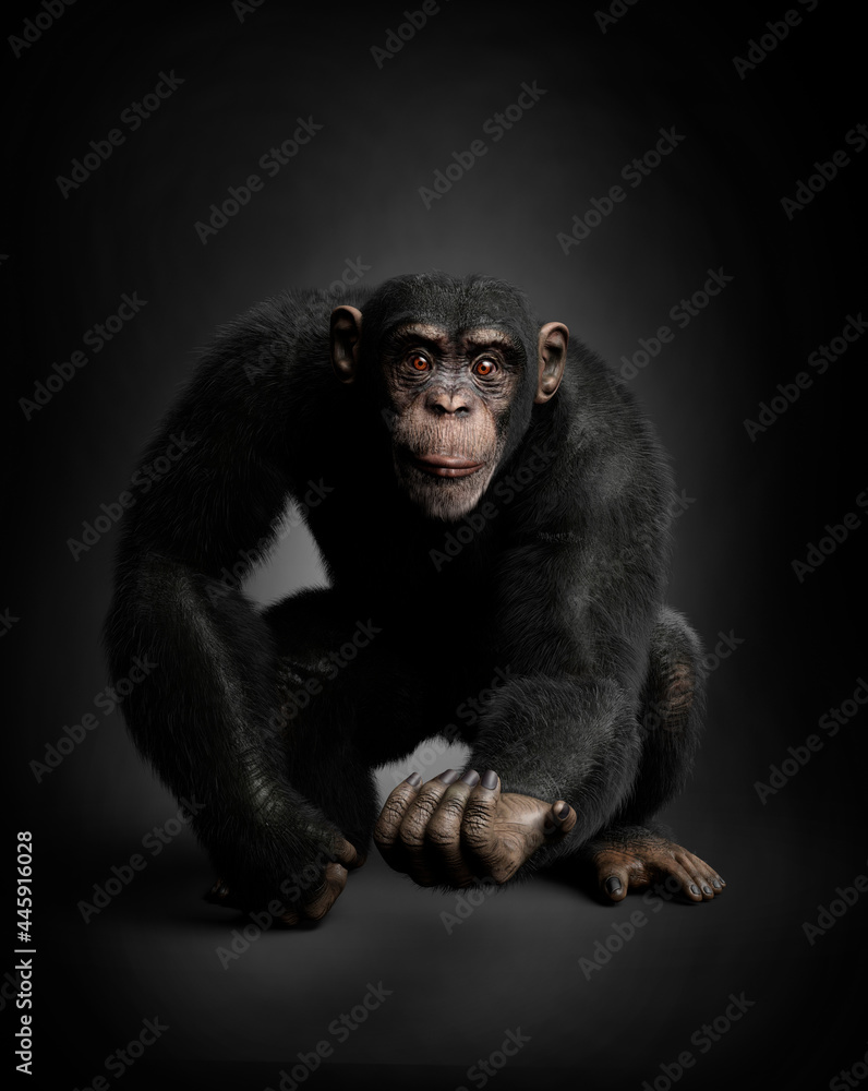 Expressive chimpanzee portrait, black background. 3D illustration - obrazy, fototapety, plakaty 