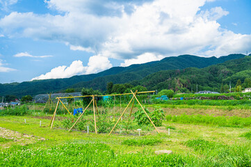 Sticker - 夏の田舎の風景