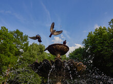Fountain In A Summer Sunny Park. Streams Of Water Pouring Down. Two Pigeons Are Sitting On The Fountain. There Are Many Deciduous Trees Around.
