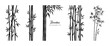 Set of bamboo silhouette on white background. Black bamboo stems, branches and leaves. Vector illustration.