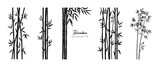 Fototapeta Sypialnia - Set of bamboo silhouette on white background. Black bamboo stems, branches and leaves. Vector illustration.