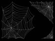 © Oksana - Beautiful spider web. Halloween decor. Decoration for the holiday. Vector illustration isolated on background.