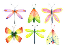 Watercolor Butterfly Set. Dragonfly, Moth Clip Art Collection. Flying Insects Illustrations Isolated On White Background.
