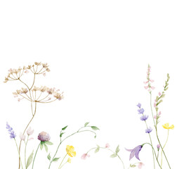 Wall Mural - Watercolor vector card with wildflower flowers and leaves.
