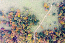 Foliage Foto Aerea Autunno Rosso Drone Sentiero Montagana