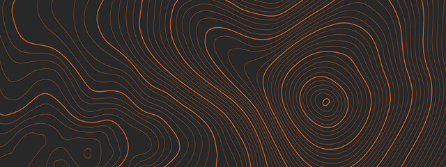 Wall Mural - the stylized height of the topographic map contour in lines and contours. the concept map of a condi
