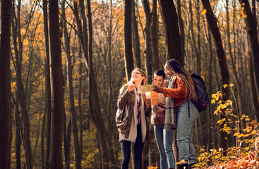 Wall Mural - Three female friends enjoying hiking in forest on a beautiful autumn day.