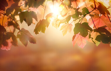 Red and brown, autumn tree leaves with an autumnal foliage bokeh banner background.