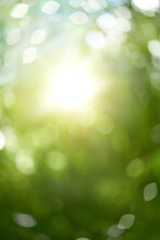 Blurred Bokeh Portrait Background Of Fresh Green Spring, Summer Foliage Of Tree Leaves With Blue Sky And Sun Flare. Illustration.