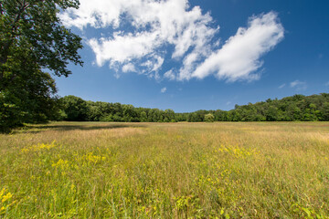 Poster - Summer scene in the Adirondacks