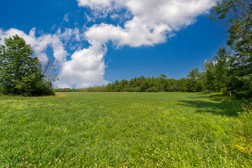 Poster - Summer scene in the Adirondacks