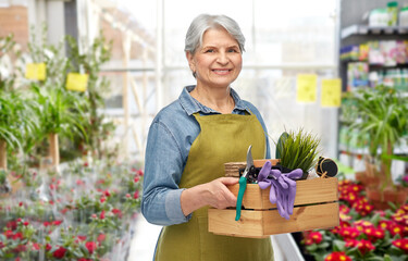 Poster - gardening, farming and old people concept - portrait of smiling senior woman in green apron holding wooden box with garden tools over flower shop background