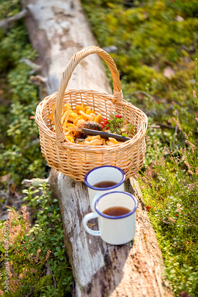 picking season and leisure concept - mushrooms in basket and two cups of tea on log in forest - obrazy, fototapety, plakaty 