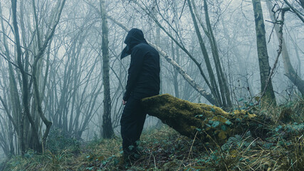 Wall Mural - A scary hooded figure wearing a plague doctors mask. In a spooky, foggy winters forest.