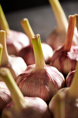 Wall Mural - garlic on a black background