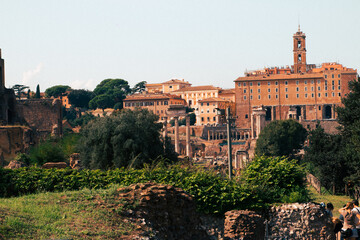 Wall Mural - Roman ruins in Rome at spring, Italy