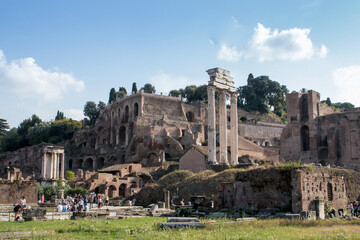 Wall Mural - Roman ruins in Rome at spring, Italy