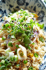 Poster - Vegetable fried rice with various ingredients