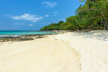 Wall Mural - Beautiful beach and tropical sea