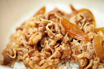 Canvas Print - Beef Bulgogi Rice Bowl in Takeout Container