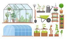 Greenhouse Eco Farm Agriculture Vector Illustration Set. Cartoon Glass Green House Garden Equipment Or Plants Collection, Wooden Boxes With Herbs, Vegetables, Agricultural Technology Isolated On White