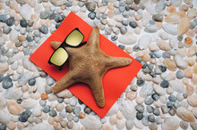 A Funny Brown Starfish (celebrity)in Sunglasses Lies On A Red Towel On The Seashells And Is Tanning. Summer Vacation, Travel And Tourism Concept. View From Above.