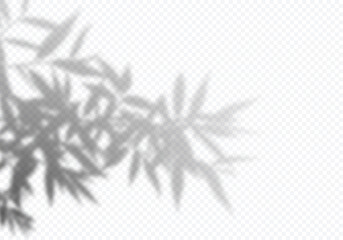 Aufkleber - Vector Shadow of Plant Leaf. Tropical Palm Tree Owerlay