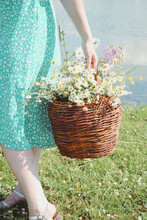 Woman With Basket Of Flowers