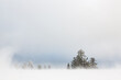 canvas print picture - Durch ein schmales Fenster im Nebel und aufgewirbeltem Schnee werden der blaue Himmel, im Vordergrund die Kronen einer Nadelbaumgruppe und im Hintergrund eine Gruppe aus kahlen Laubbäumen sichtbar.
