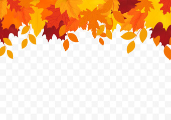 Poster - Autumn falling leaves isolated on white background. Autumn background with golden maple and oak leaves.