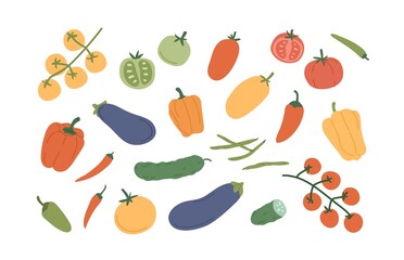 Set of fresh ripe vegetables. Organic healthy veggies. Bell pepper, chili, pod radish, tomato, cucumber and jalapeno. Colored flat vector illustration of vegetarian food isolated on white background