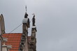 Rzeźba i mewa na starym dachu w Gdańsku, Polska