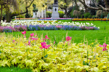 Canvas Print - Flowers in Victoria embankment gardens in spring, London, UK