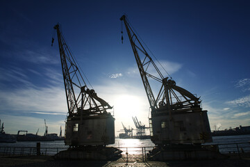  Old port cranes in Hamburg