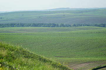Wall Mural - beautiful summer countryside landscape in europe