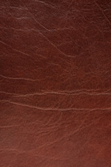 Sticker - Crampled brown leather surface